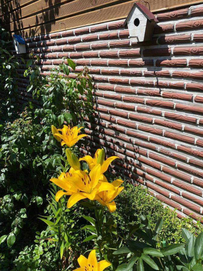 Hanok Guesthouse Suni Seoul Ngoại thất bức ảnh